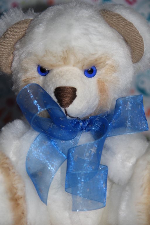 МИШКА.....на выставку...