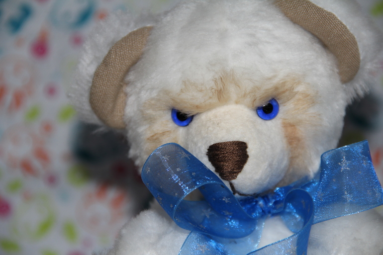 МИШКА.....на выставку...