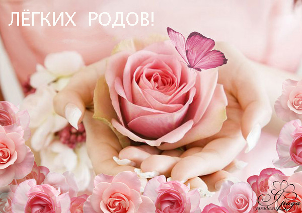 2980add8c671a67ca32f8dd7360ca9af.jpg