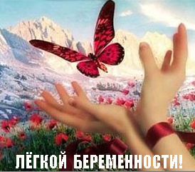 b124f994b6b92d4fce221097361a5dc0.jpg