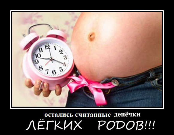 9a20812bdc8c80a2decd36de4e66c54a.jpg