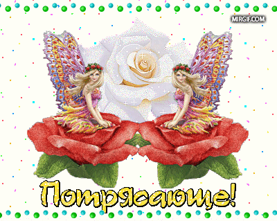 1aa05f25d19298bdb071d5f457660798.gif