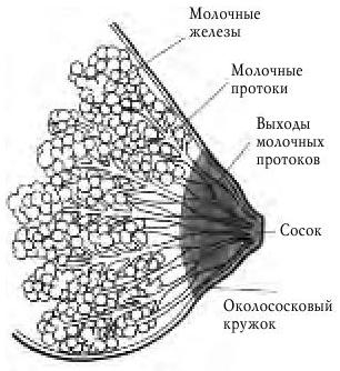 1af2f58e1c3a1f59c3e80702b5271c00.jpg
