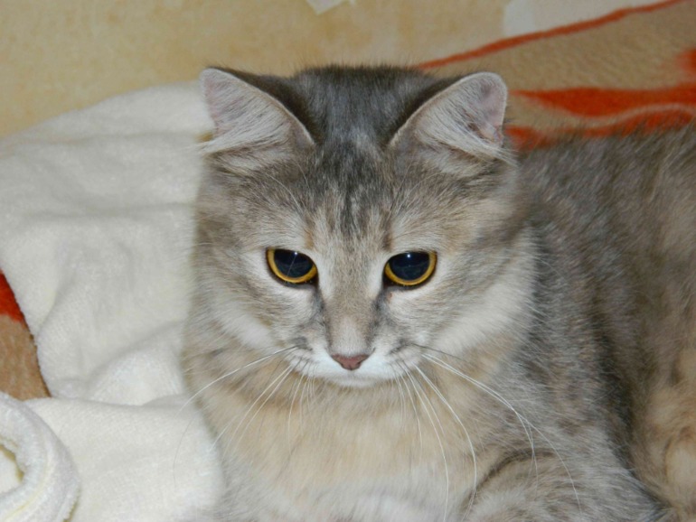 Можно и свою красоту покажу еще раз???