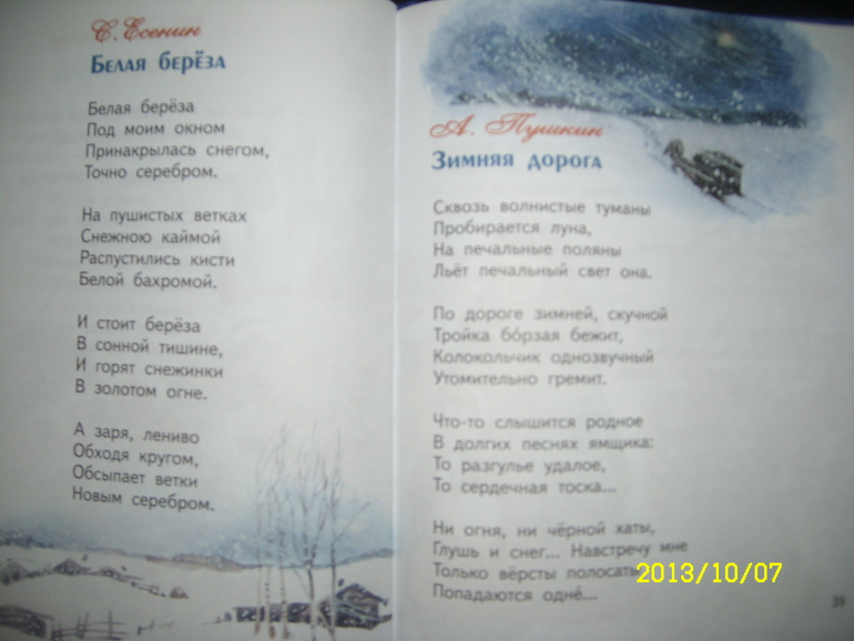 В лесу родилась ёлочка!