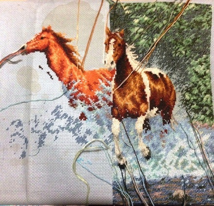 Продолжение процесса Бегущих Лошадей)