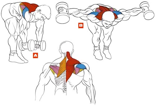 Тренажерный зал дома