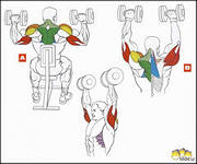 Тренажерный зал дома