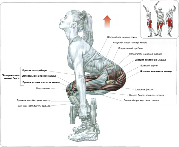 Тренажерный зал дома
