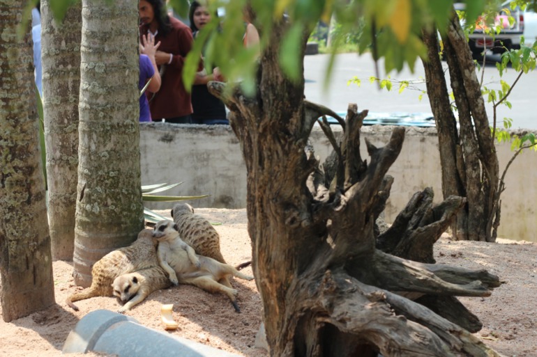 Тайланд зимовка (Джомтьен-Хуахин) 4 месяца. Старт