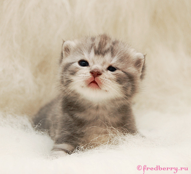 А вот и первые фоточки