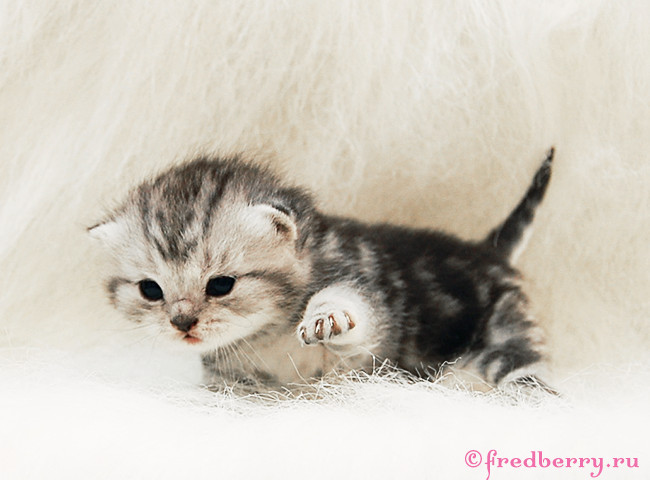 А вот и первые фоточки