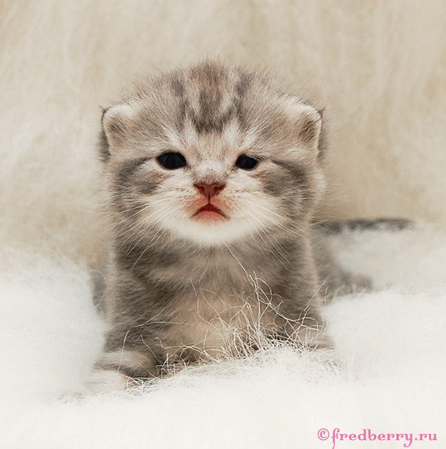 А вот и первые фоточки