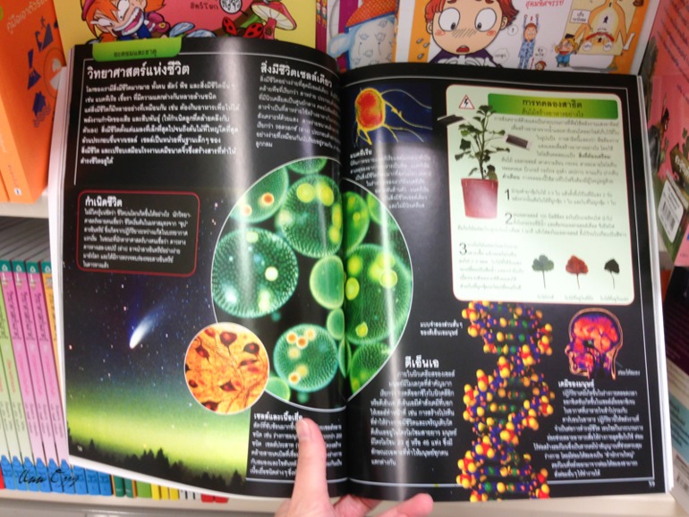 Книжный в Таиланде