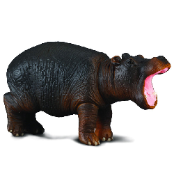 b84ceb97ceabece6e9df4d0d93a2be9d.png