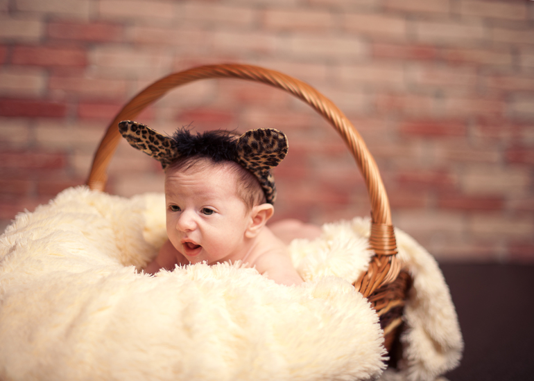 Федор , уже 2 месяца - фотографировала недавно в студии )))