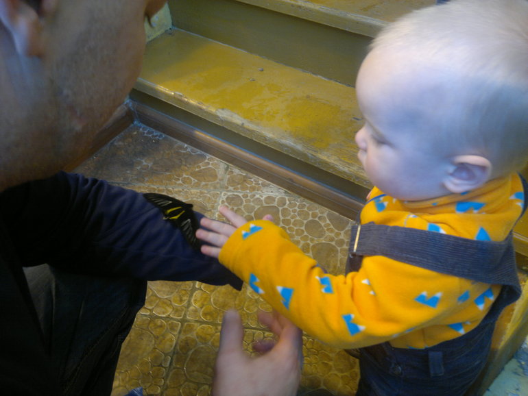 Контактный зоопарк и тропические бабочки на ВВЦ