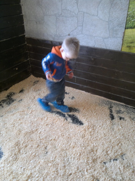 Контактный зоопарк и тропические бабочки на ВВЦ