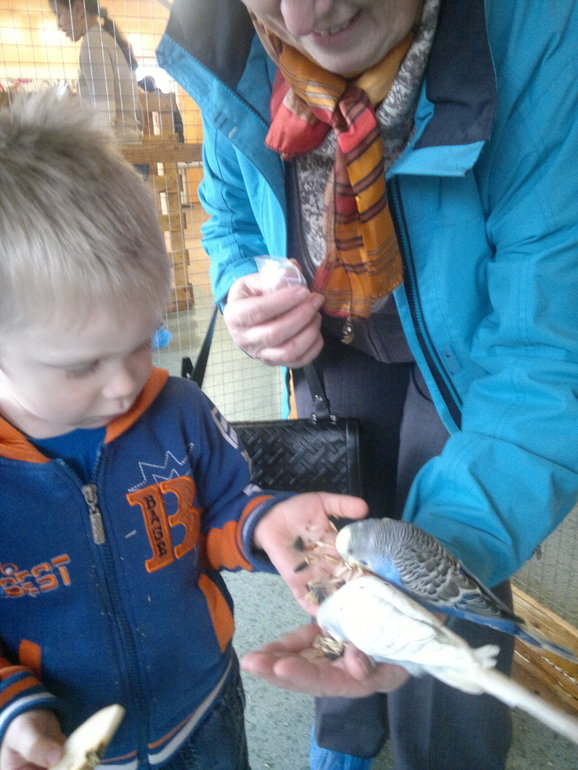 Контактный зоопарк и тропические бабочки на ВВЦ