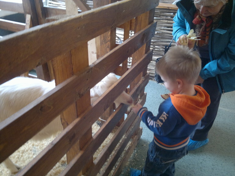 Контактный зоопарк и тропические бабочки на ВВЦ