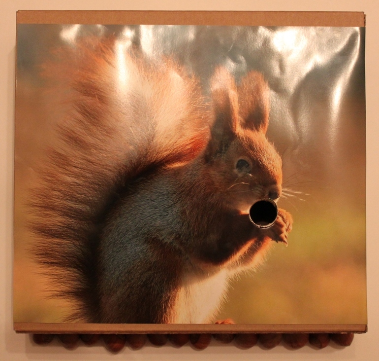 Как накормить белку