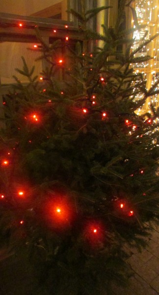 Вкусный конкурс на самое красивое и оригинальное новогоднее блюдо