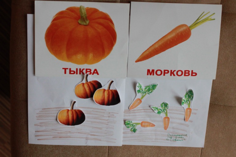 ТН "Овощи" 1год 5 месяцев