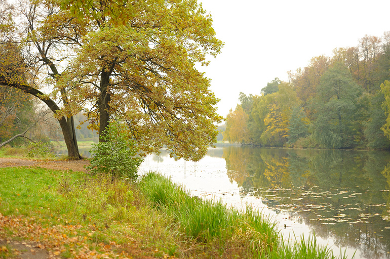 Осень в парке