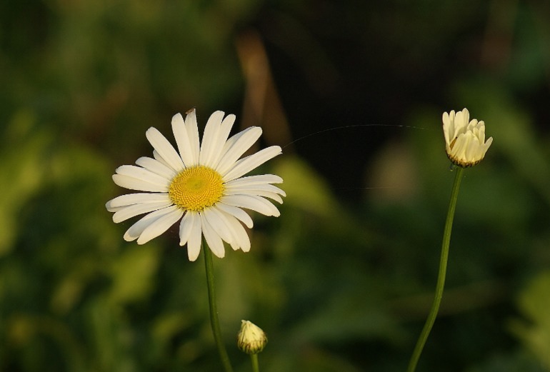 Мои самостоятельные работы!