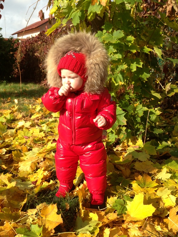 Осенний день. Мороз и солнце.