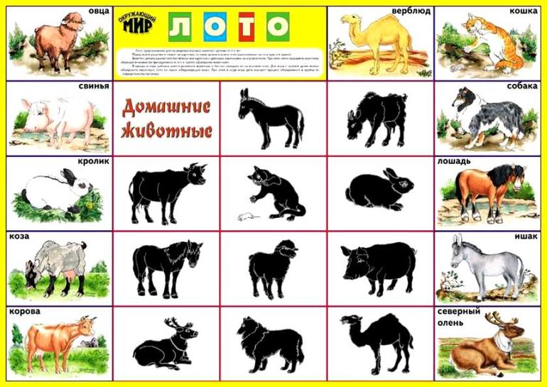 ТН Домашние животные 1.7