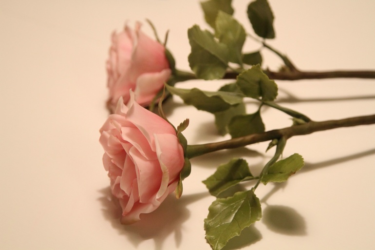 Как прошел МК