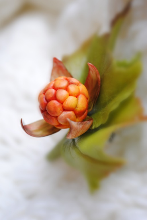 Две брошки-ягодки