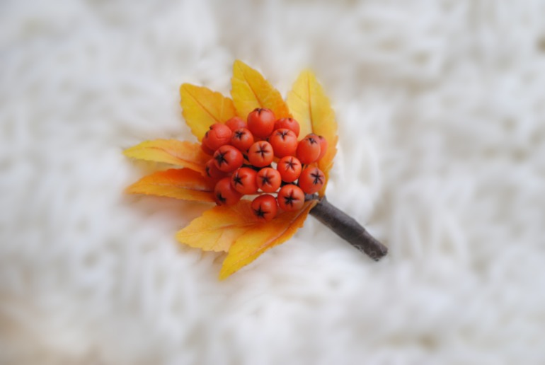 Две брошки-ягодки