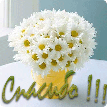 Мой super подарочек!!!!!!