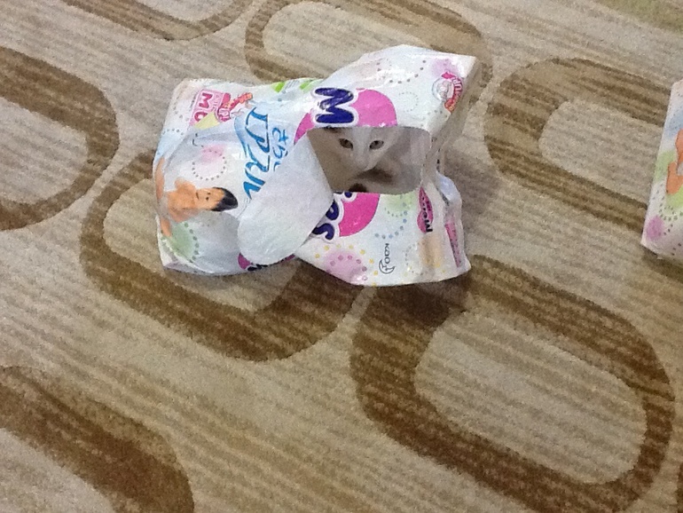 Крутые подгузники!!! Merries