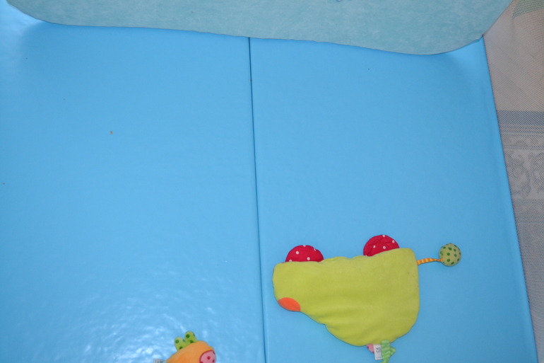 Мой любимый манеж Бреви.