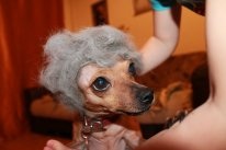 Наша Стася)