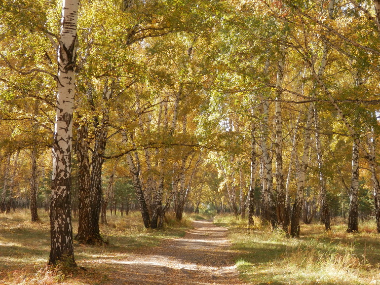 Золотая осень