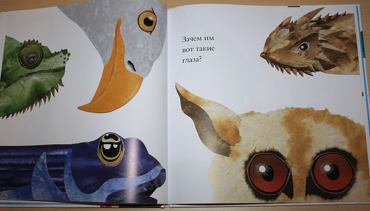 Про не только хвосты, носы и уши ))