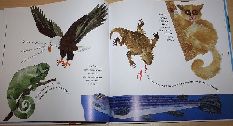 Про не только хвосты, носы и уши ))