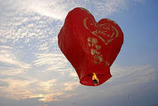 всё для красивой свадьбы