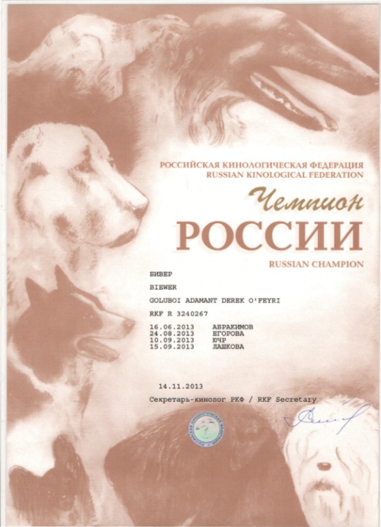 Моей Шерри сегодня пол года!