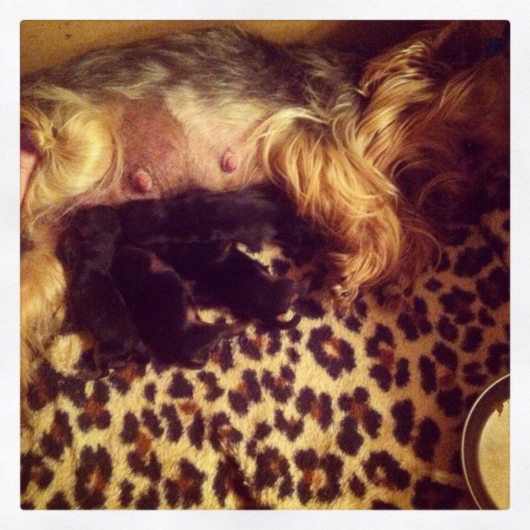 А у нас пополение)))