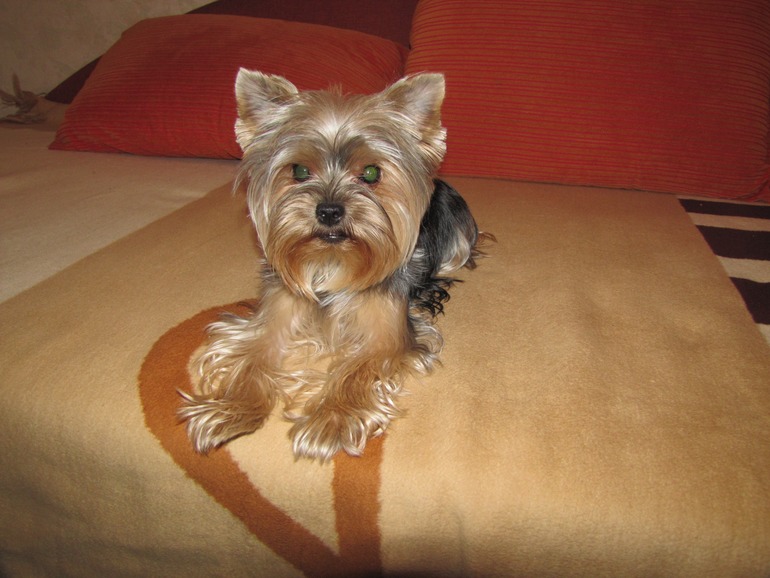 Давно не показывала свою Сю