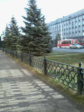 Сибирская зима