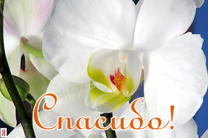 Огромное спасибо Юлии за питание!