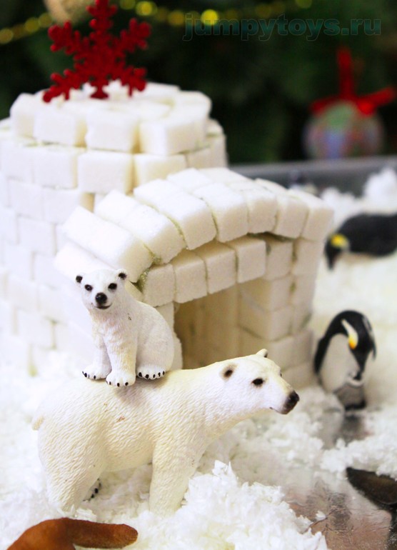 Страна пингвинов.