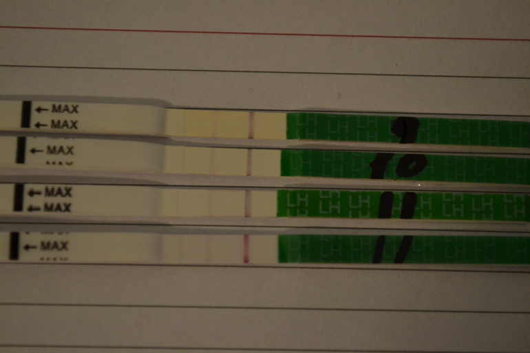 Что происходит в 11 ДЦ!!!???