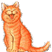 88304bc85fd188bf94ae7b5dfe41bbb1.gif